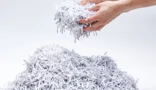 Shredding Inefficiency: A Blueprint for Eliminating Paper Checks